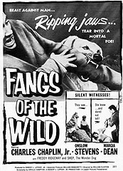 FANGS OF THE WILD [aka: Follow the Hunter]